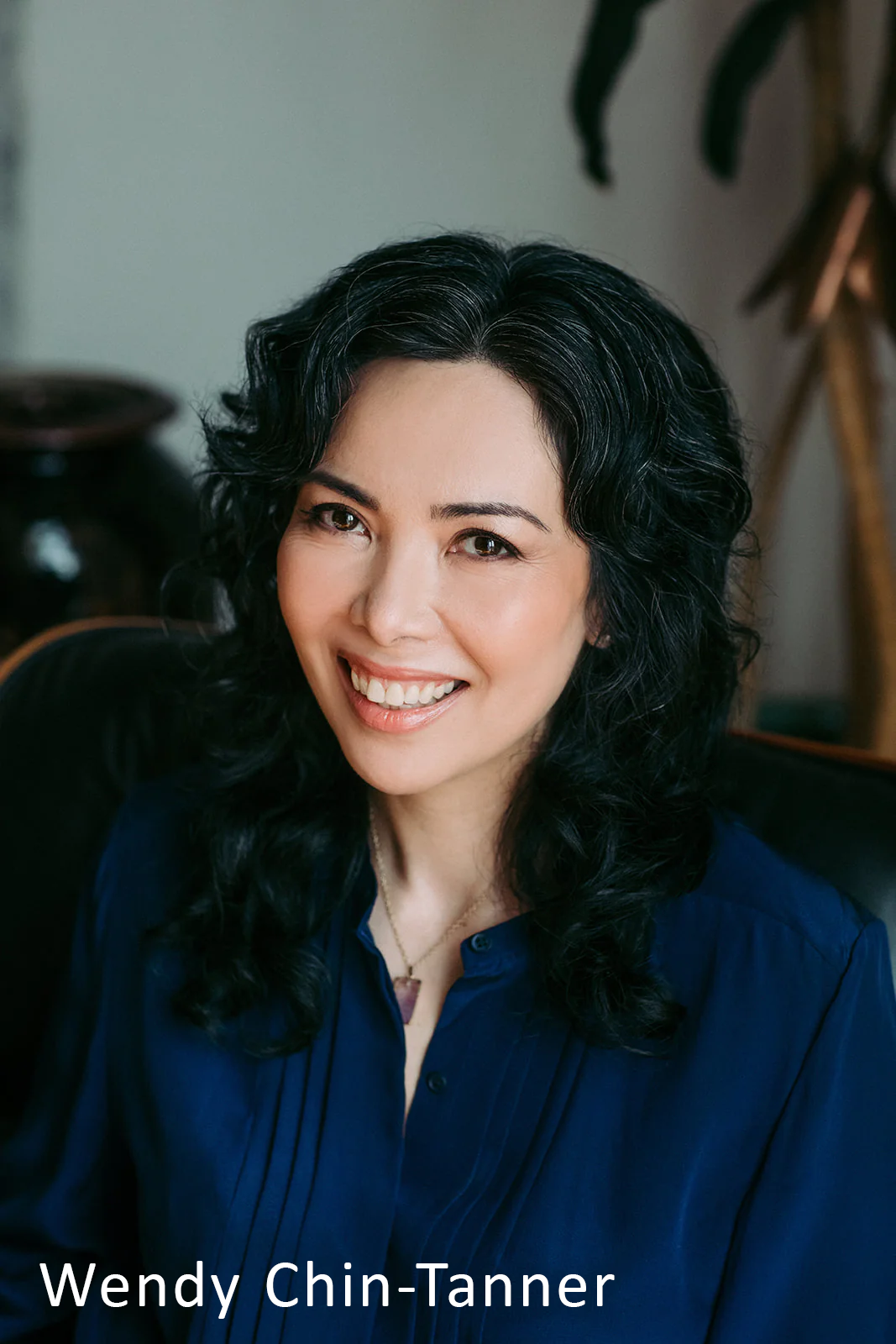 King of the Armadillos by Wendy Chin-Tanner